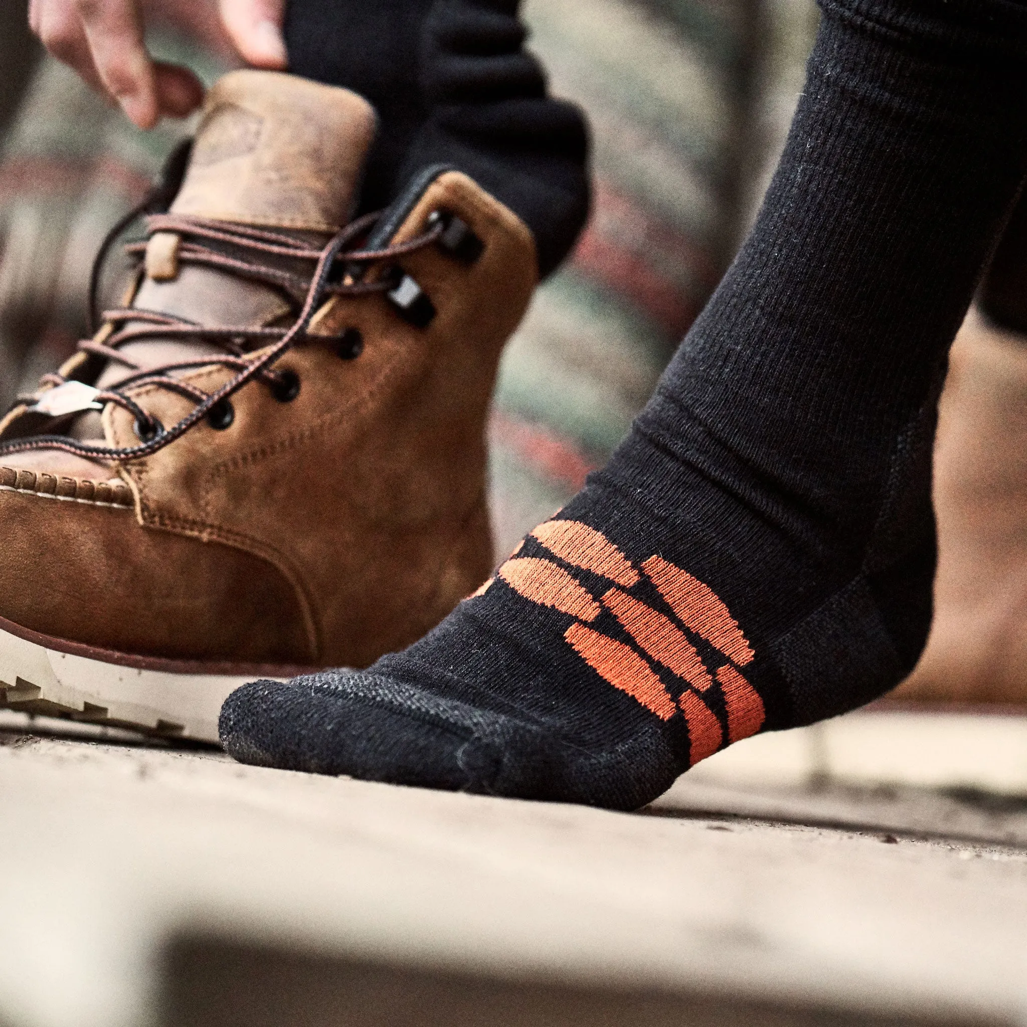 Everyday Socks (3 Pack)